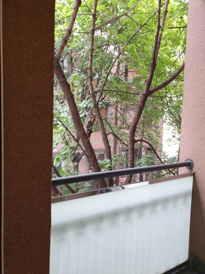Metropol Lux Apartment Belgrade Vracar Eksteriør bilde